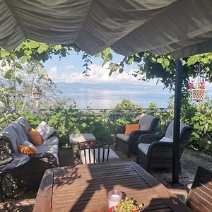 Blue & Mošćenička Draga